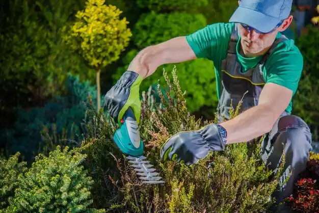 landscaping services Marks
